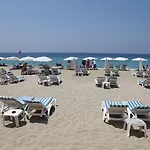 Alin Alanya