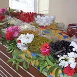 Hotell Alin 3*