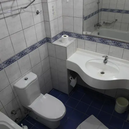 Hotell Alin 3*