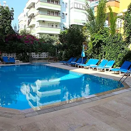 Alin Alanya