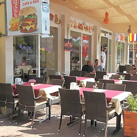 Alin Alanya