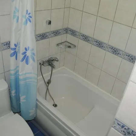 Alin Hotel 3*