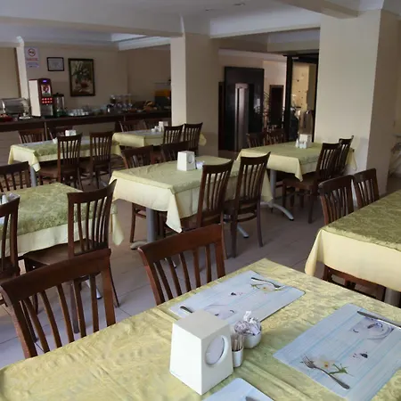 Hotel Alin Alanya