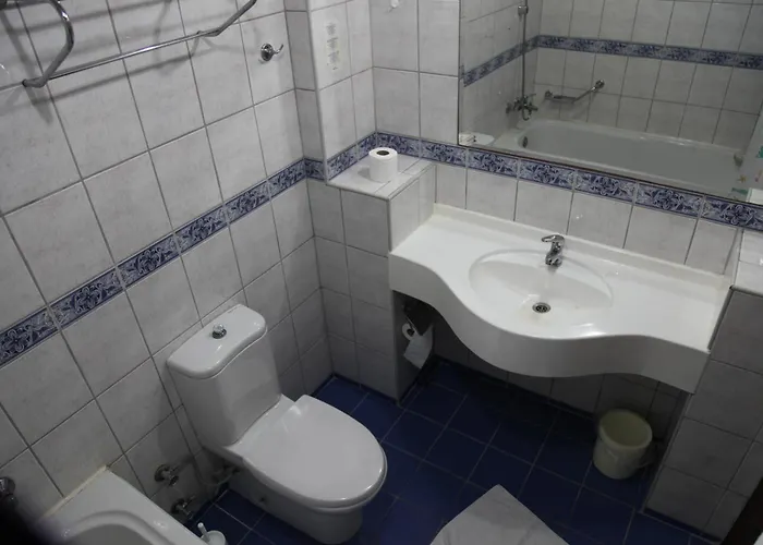 Hotel Alin 3*