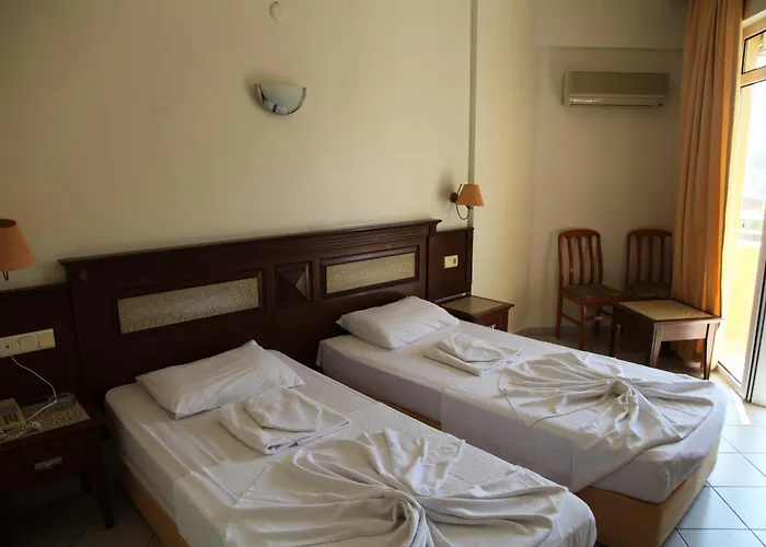Hotel Alin 3*