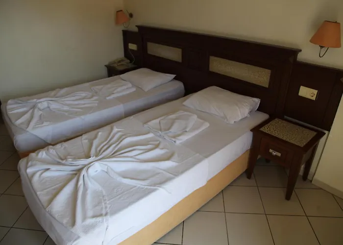 Hotel Alin 3*