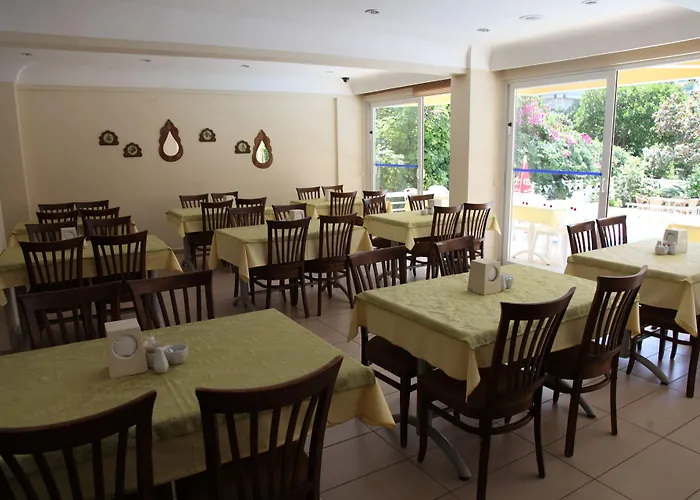 Hotel Alin