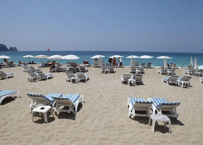 Alin Alanya
