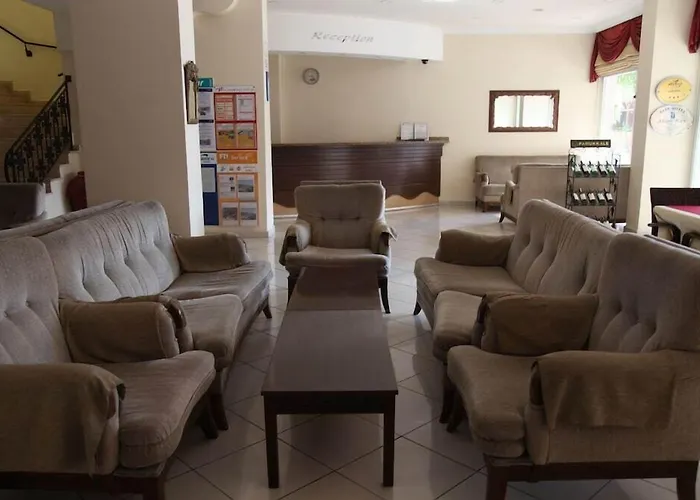 Alin Hotel 3*