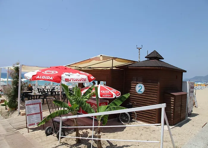 Hotel Alin 3*